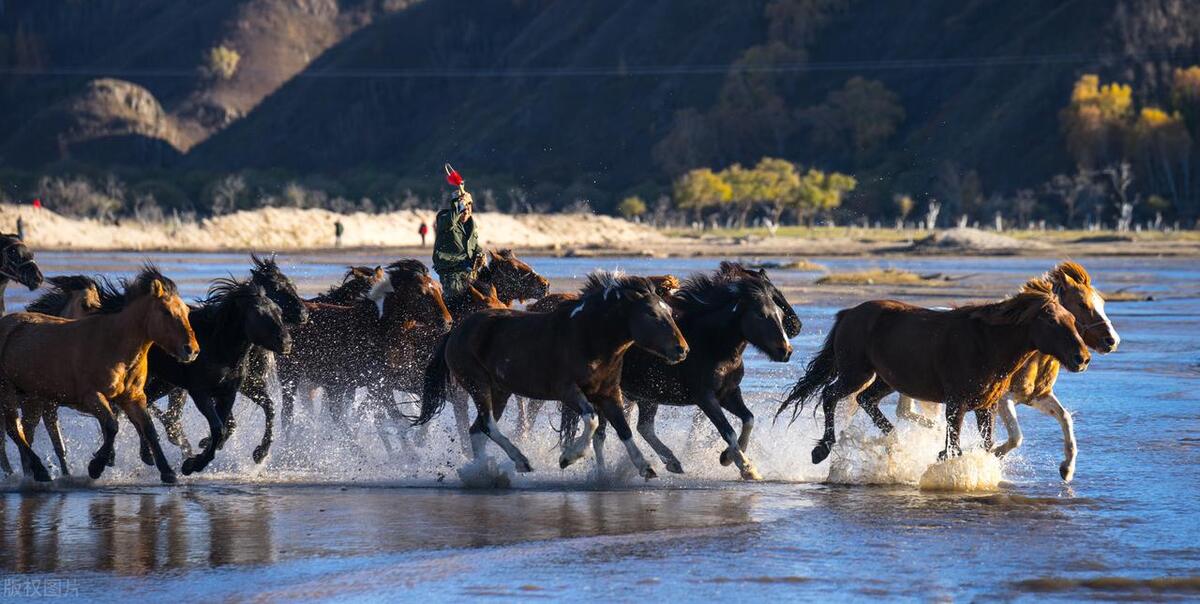 十二星座男女的区别在哪里,十二星座中男女的差别