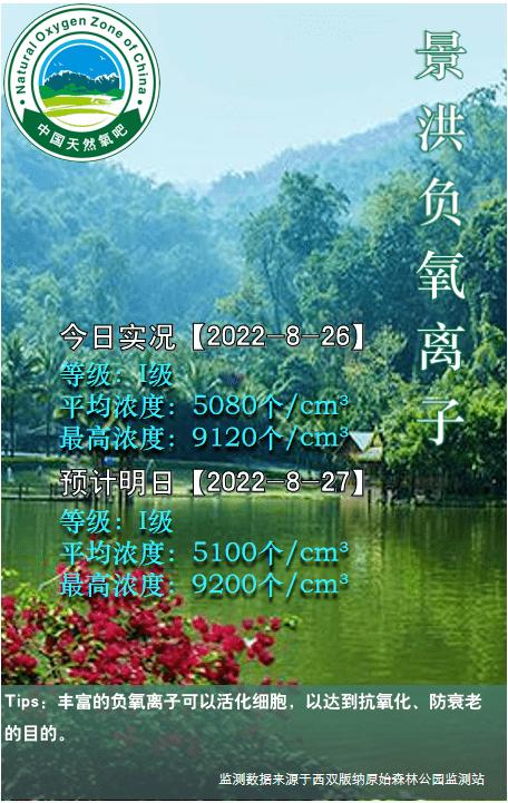 西双版纳旅居最新视频,云南西双版纳东南亚旅居史