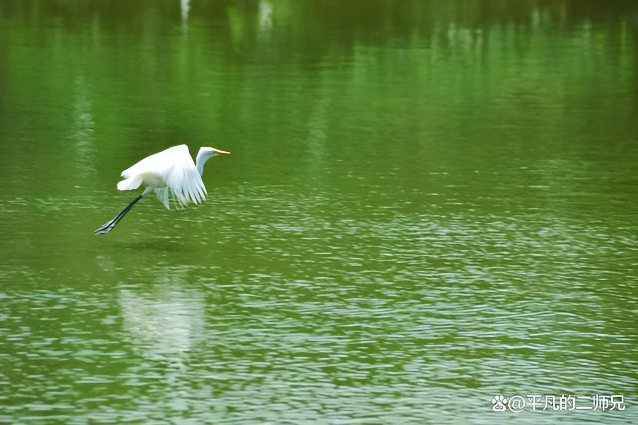 南昌湾里最值得去的景点有哪些,南昌适合小孩子玩的免门票景点