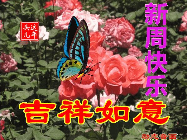 9月18日早上好问候图片,10月21日周三愉快祝福早上好图