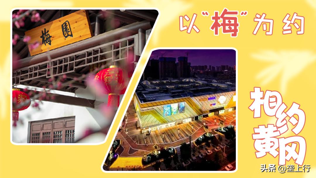 湖北春季赏花攻略十大赏花路线,叮你有一份礼物请查收音频