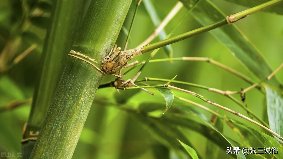 俗语说三更不贪食,俗语三事不做