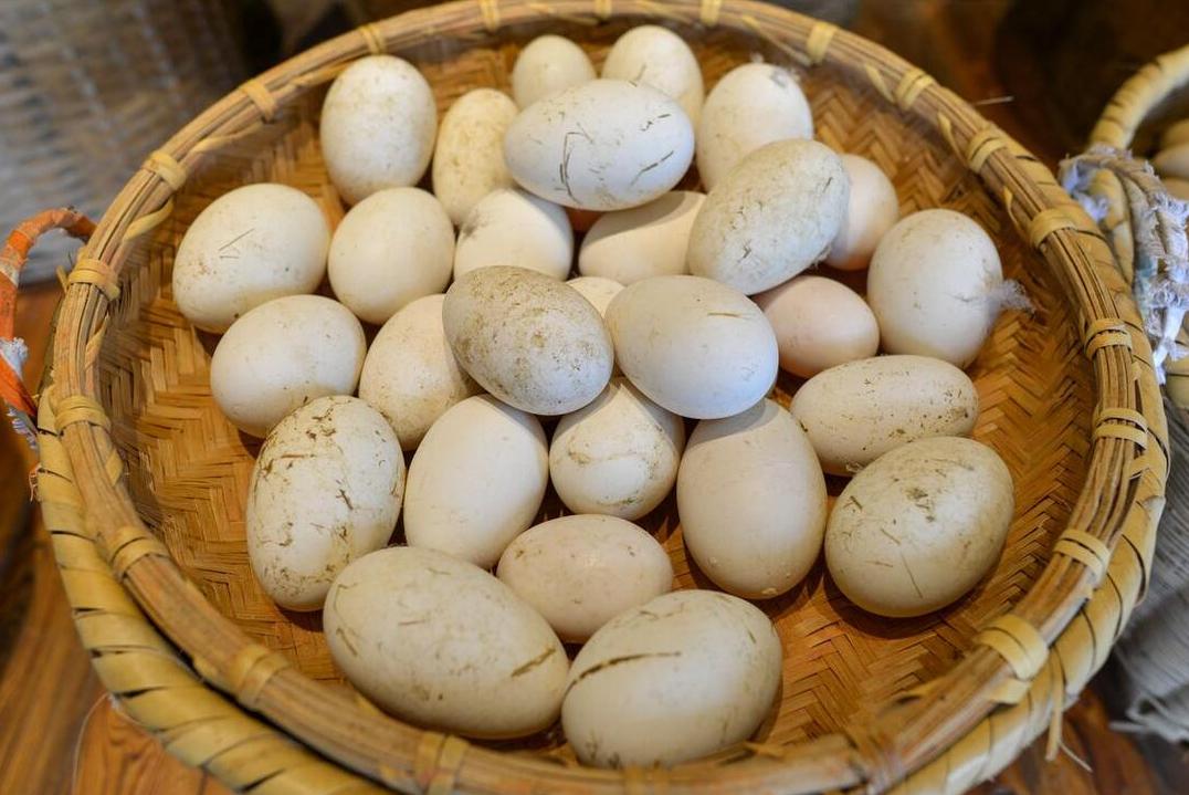 老年人多吃五种高蛋白食物,中老年人常吃高蛋白