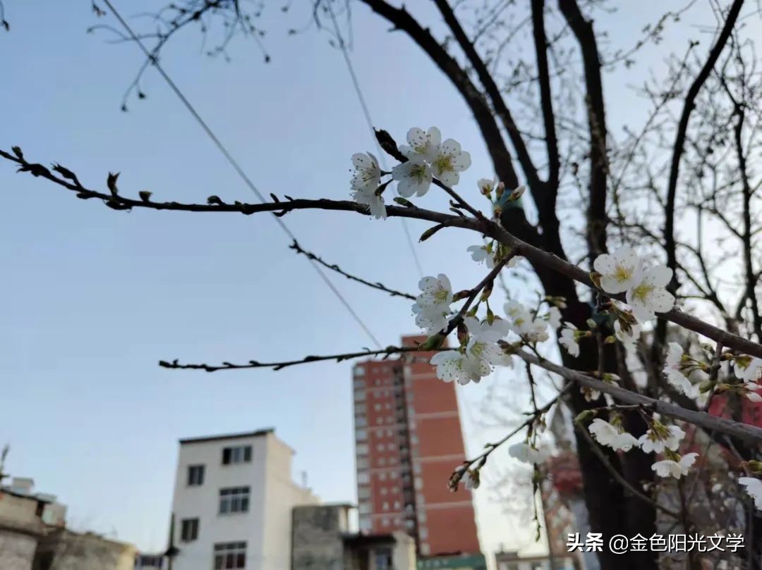 《“我”来了》《我的南瓜弟弟》《蜜蜂采蜜》