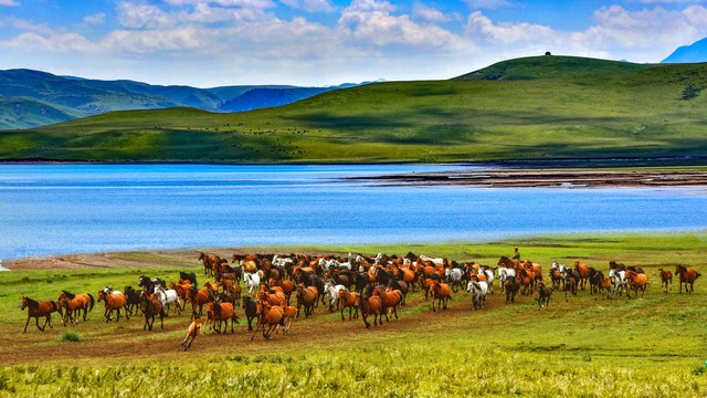 藏东自驾游最佳路线,西藏自驾游攻略