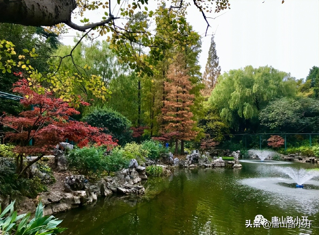 上海市区旅游景点大全排名,老上海和现在的上海的对比