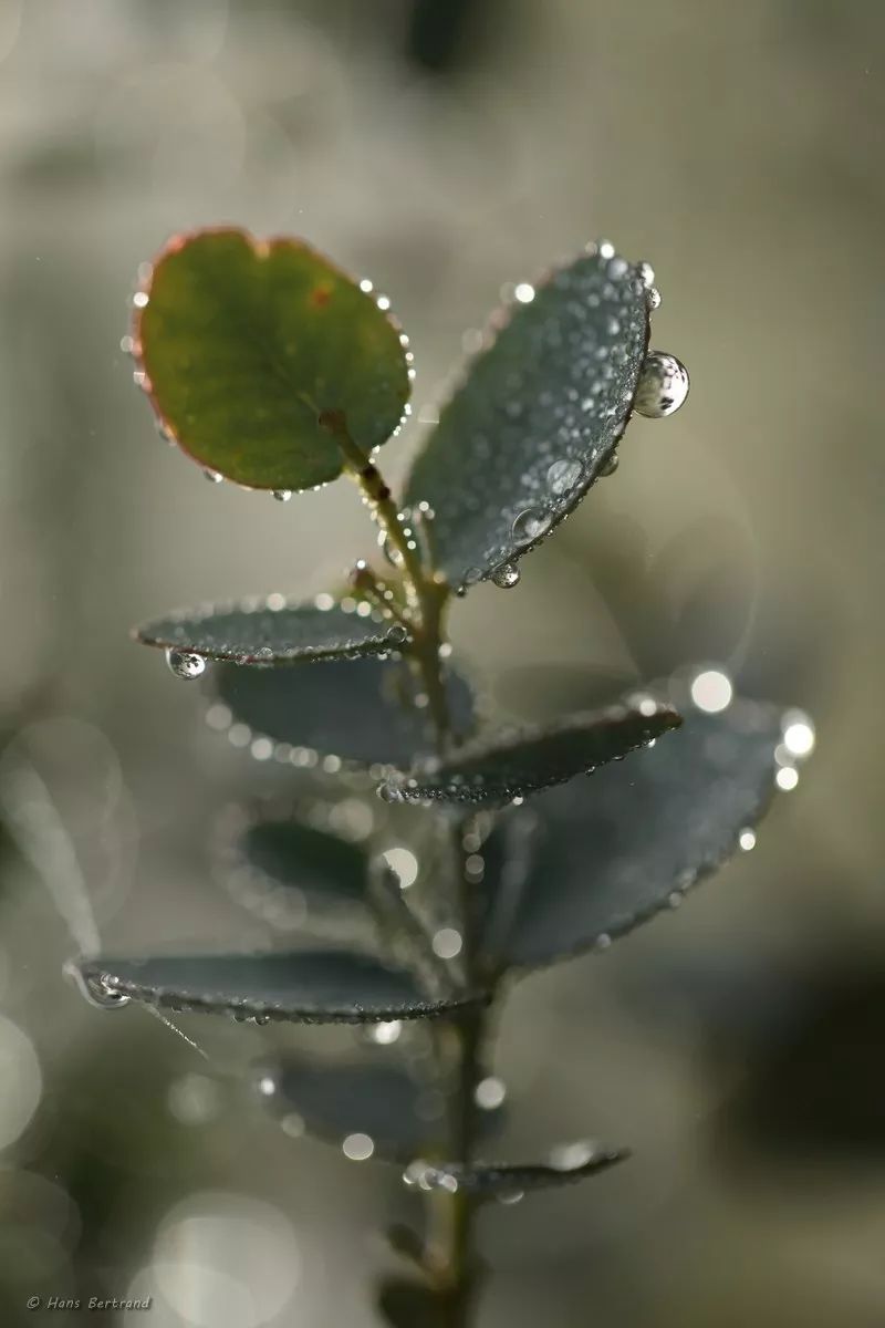 北仑疫情还回得了家吗,北仑疫情出不去了么