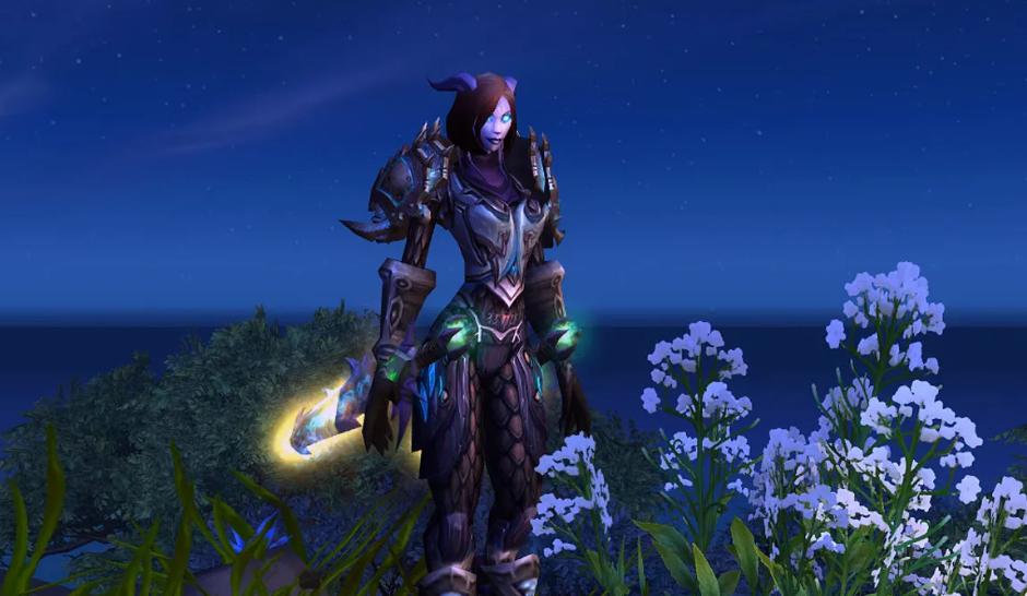 魔兽世界wlk惩戒骑输出,魔兽世界怀旧服奶骑治疗多少及格