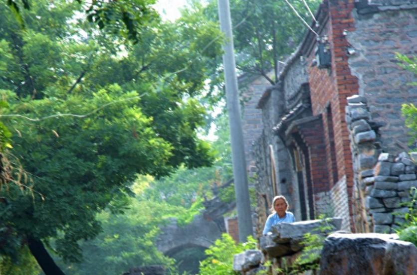 60岁大妈爱上50岁保镖,60岁大妈爱上保镖