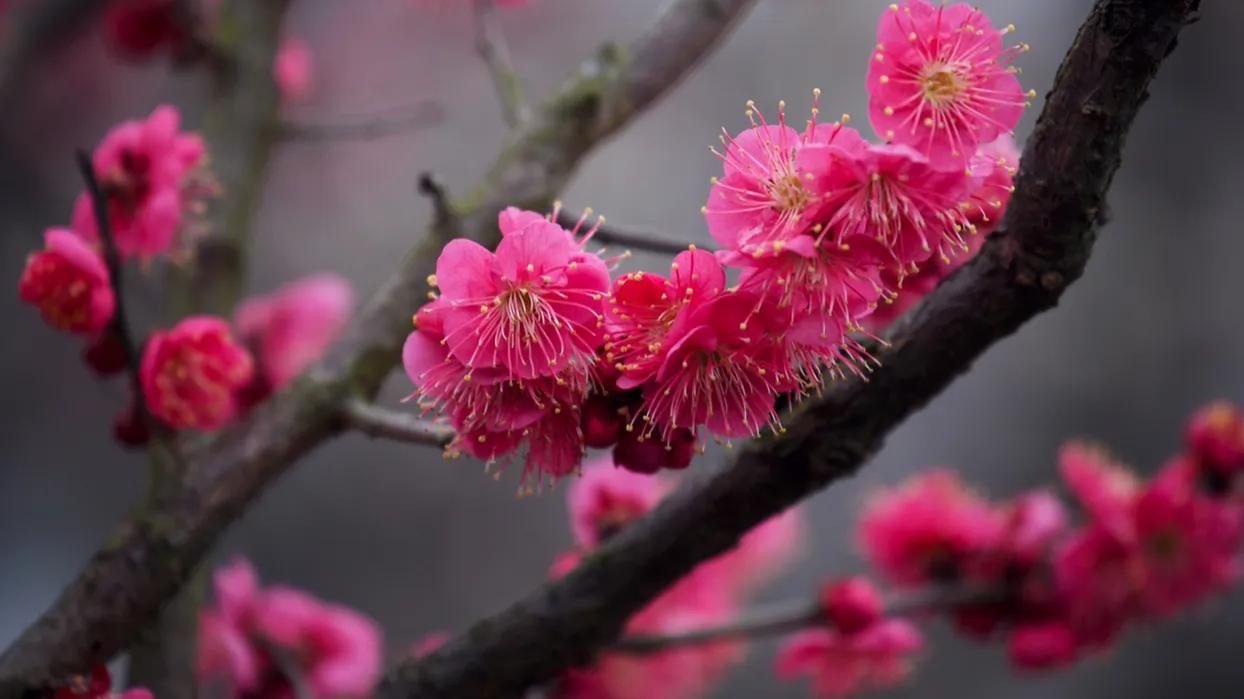 微头条学习写作,微头条写作学习
