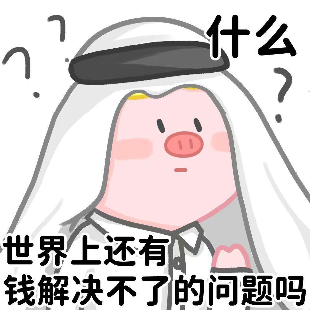 卡塔尔15岁小王子表情包,卡塔尔小王子气出表情包原视频