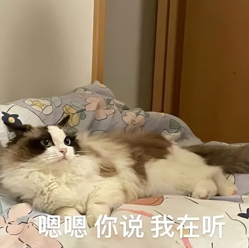 外地社保怎么转入户籍所在地,外地社保怎么转入佛山