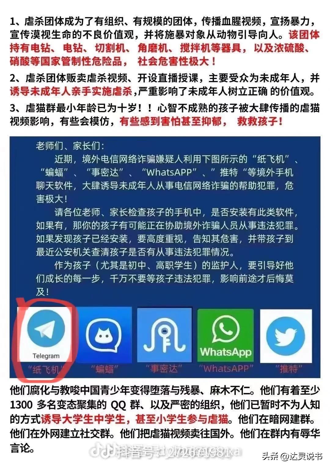 虐猫团伙快递投毒,武汉虐猫事件后续