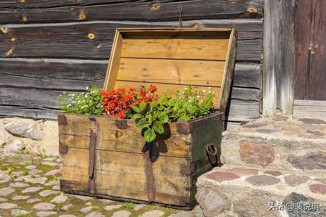 50岁阿姨生活日记,退休老阿姨记录美好生活