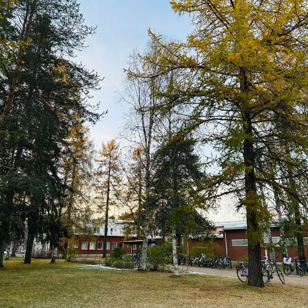 芬兰交换经验分享丨在拉普兰大学交换是一种什么样的体验？