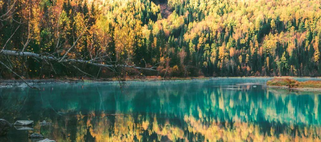 秋季喀纳斯,喀纳斯之秋风景画