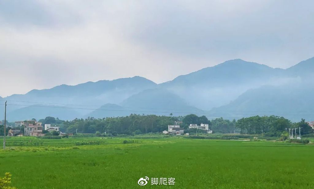 封开黑石顶自然保护区今日关注,广东封开黑石顶省级自然保护区