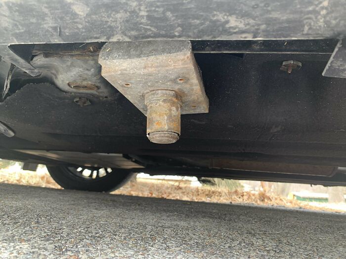 鉴定网上的奇特生物,鉴定神秘生物视频