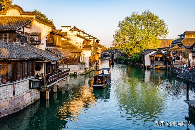 网络信息带来的利与弊,如何看待网络信息焦虑