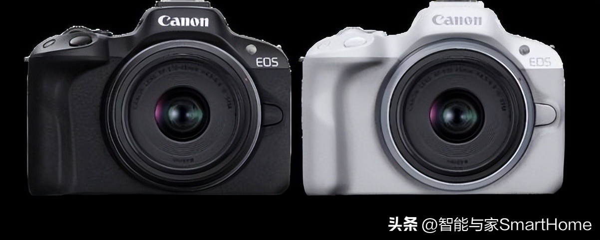 佳能性价比最高的专业全画幅相机,佳能旗舰全画幅相机推荐