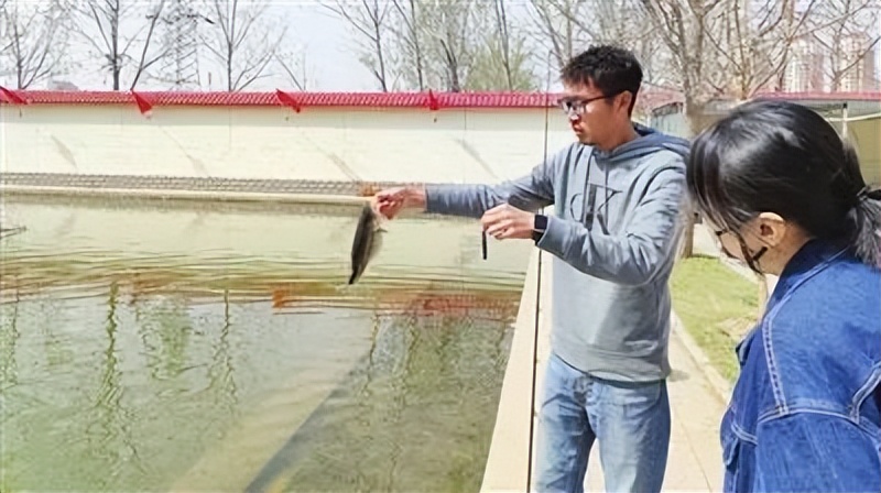 威海鱼竿产业规模,小鱼竿品牌