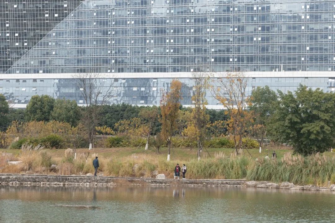 10个城市宝藏,成都还有哪些宝藏公园