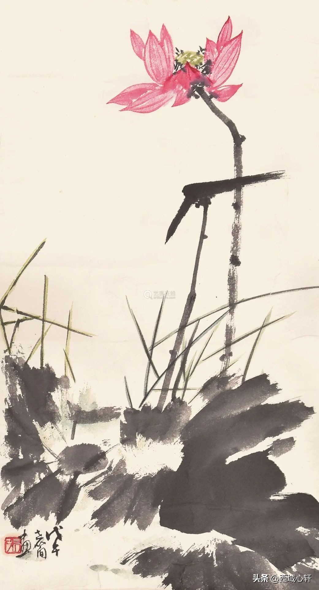 接天莲叶无穷碧映日荷花图片大全,莲叶无穷碧映日荷花别样红三幅图