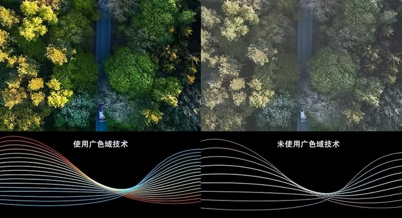 华硕笔记本怎么分辨屏幕高低色域,华硕笔记本屏幕色域怎么选择