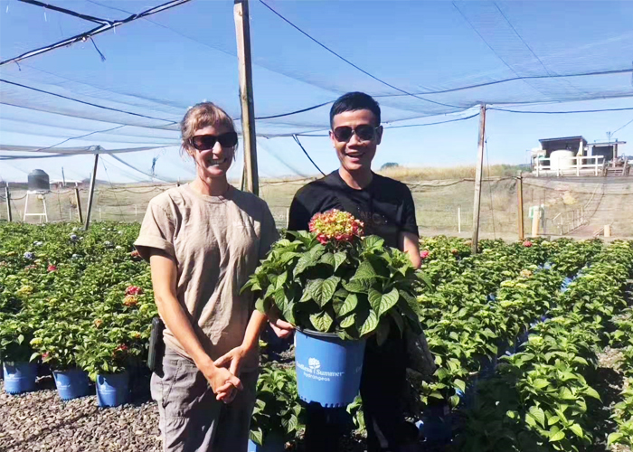 种植业什么最赚钱农村,农村种植创业成功的方法有哪些