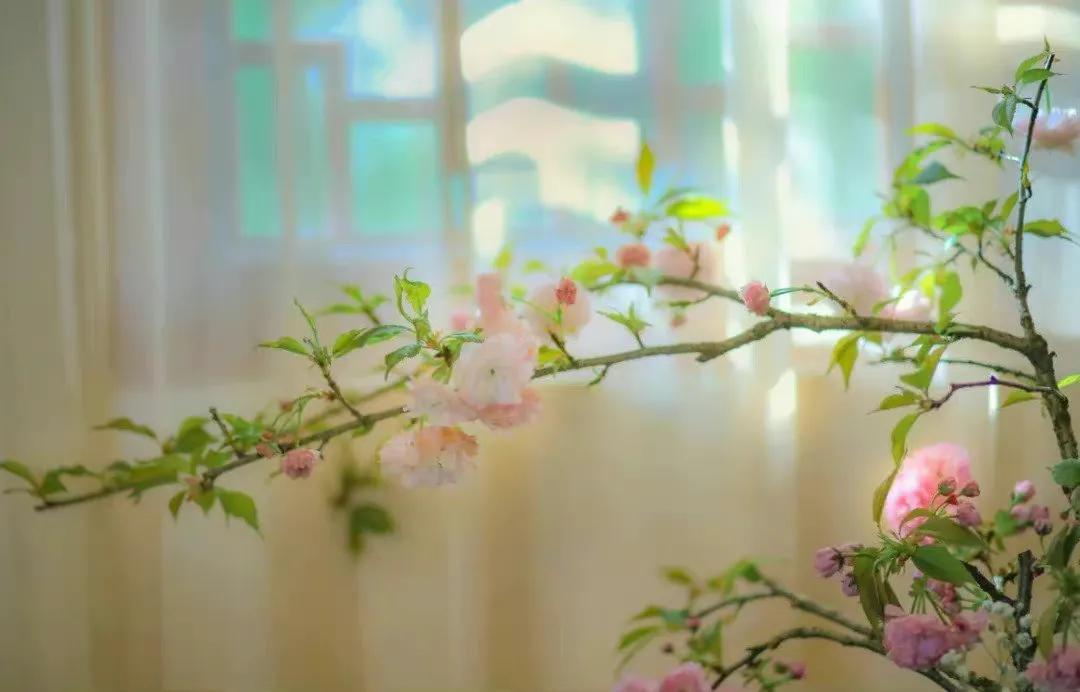 古文怎么表达日久生情,古文中的爱意