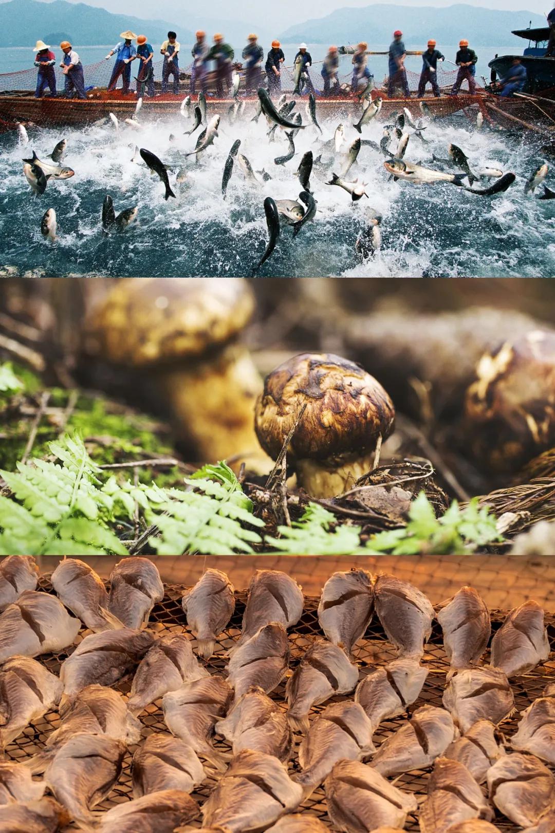 鲜味到底是什么味,鲜味指什么味道