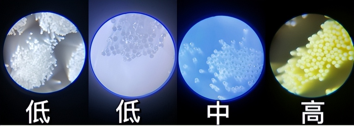 儿童用电动牙刷缺点,儿童用电动牙刷到底好不好