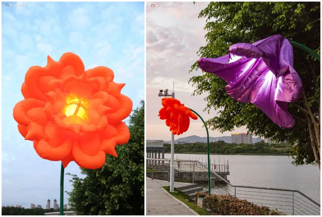 夏天厦门三亚北海到底选哪个好玩,厦门夏天哪个景区最好