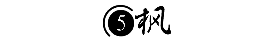 巨人鲍喜顺老婆身高,巨人鲍喜顺的妻子儿子现在有多高