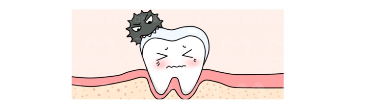 牙齿真的是被虫子吃掉的吗,牙齿是怎么进虫子的