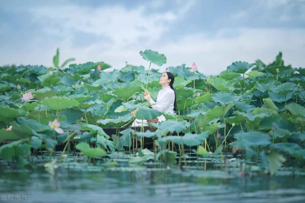 从广州佛山出发的旅游攻略,广州鹤山市旅游