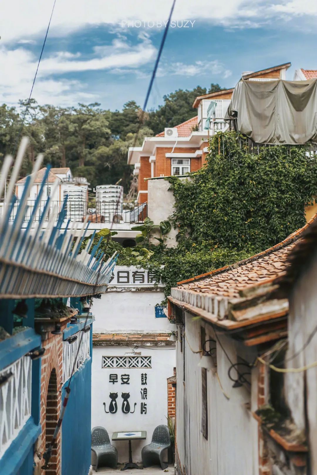 【闽山闽水物华新】又挖到宝藏旅游线路了！这份厦门两天一夜游玩攻略你一定要收藏！