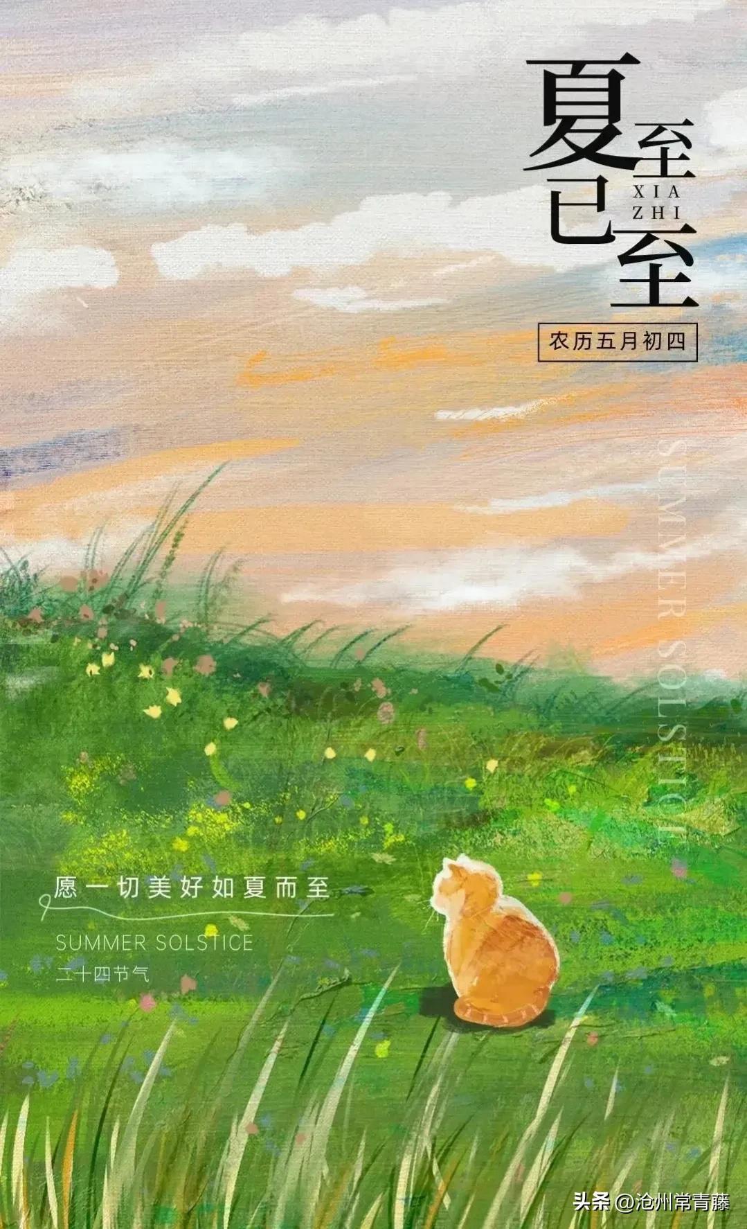 夏至节气感慨,今日夏至话题