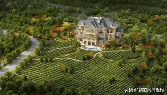 82年拉菲真的是82年生产的吗,82年拉菲到底生产了多少瓶