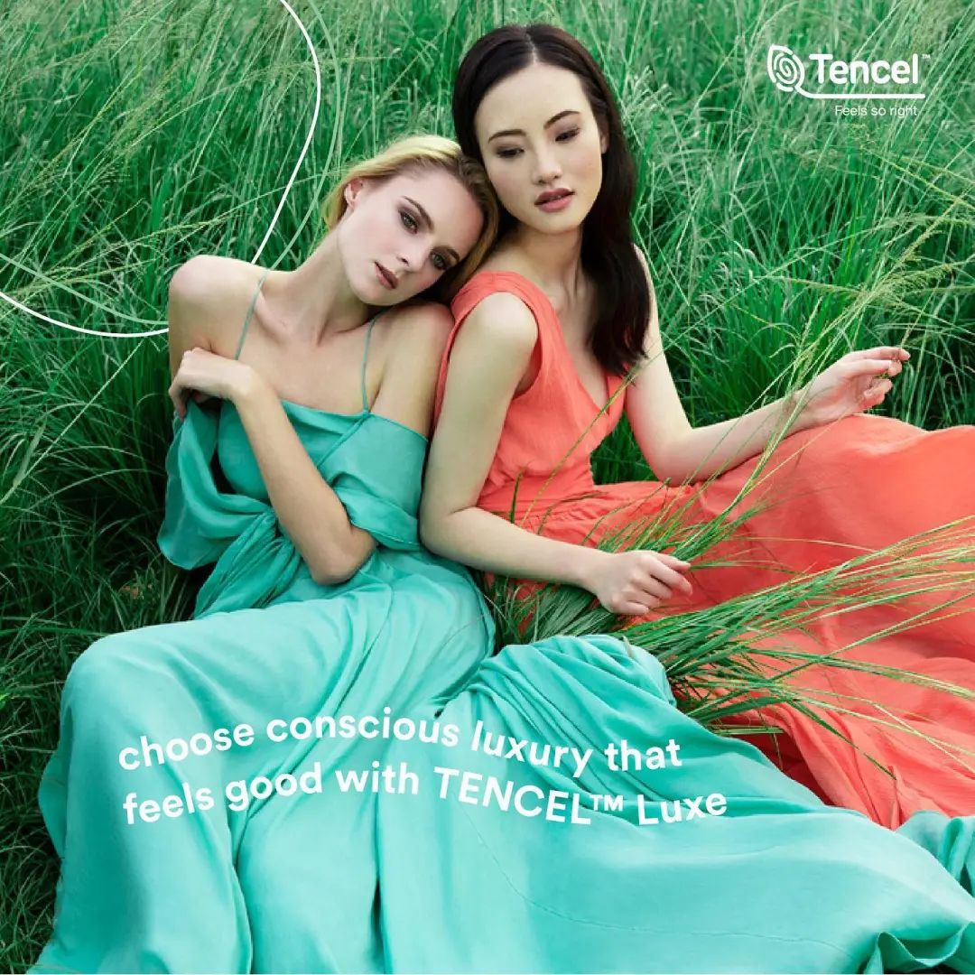 你分得清月季和玫瑰吗图片,你分得清姜丝和土豆丝吗