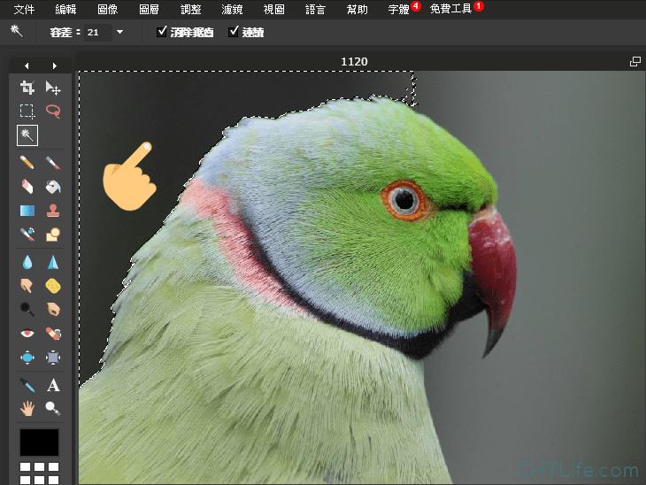 鍓槧鎬庝箞鍘婚櫎鐓х墖鑳屾櫙,wps濡備綍鍘婚櫎鐓х墖鑳屾櫙棰滆壊