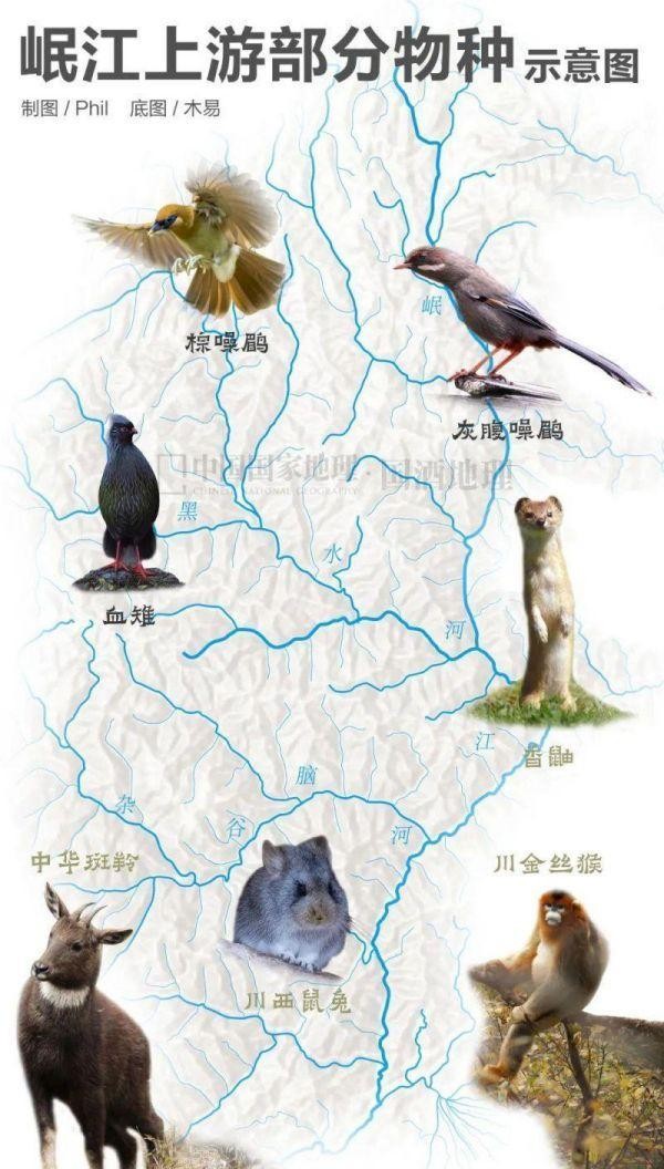 中科院微生物研究所白逢彦,中科院微生物研究所食用菌种