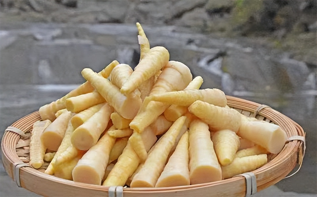 马边华兴贸易彭正兴：借林发力，助农增收，探索产业发展新路径