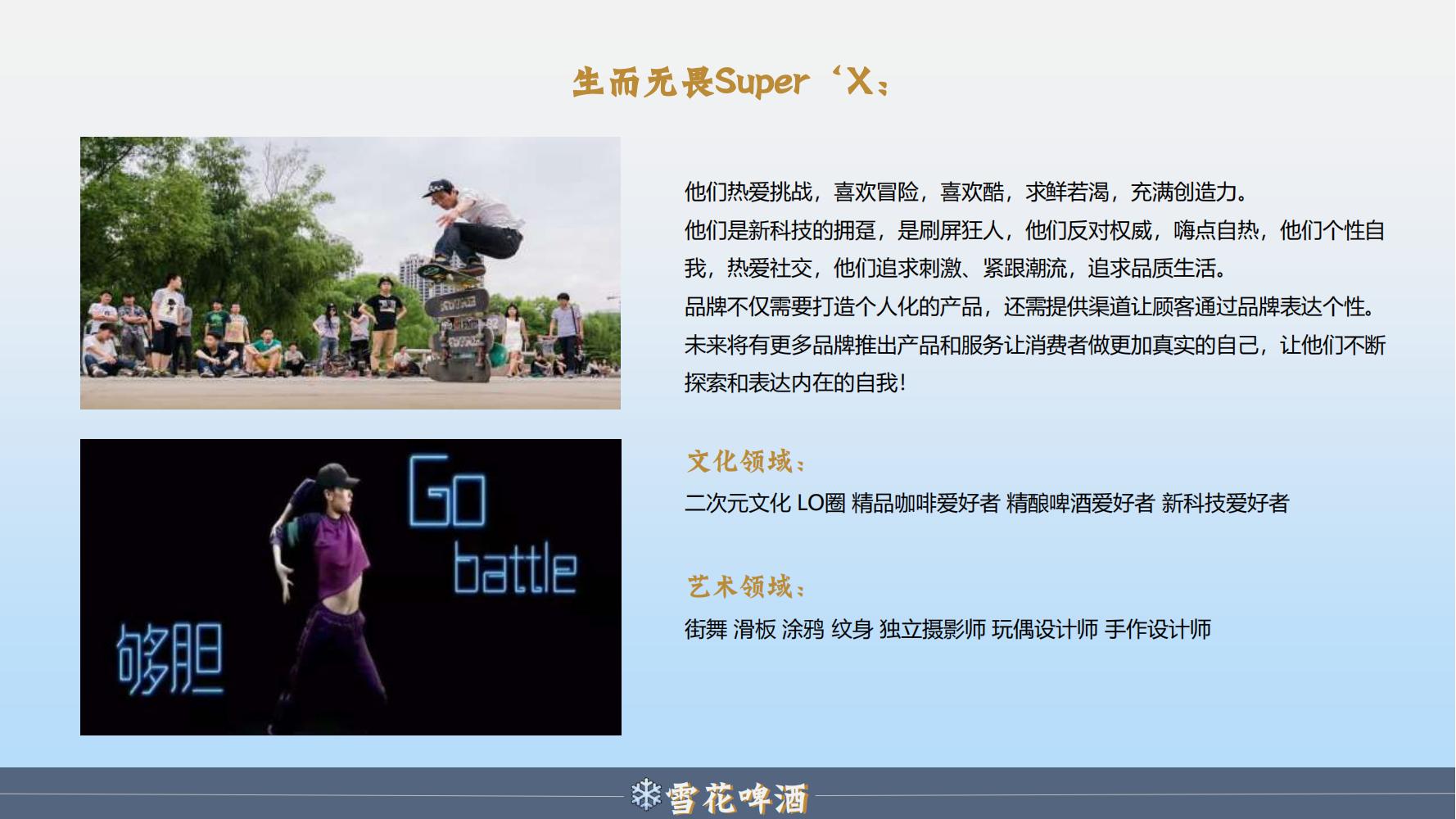 雪花啤酒品牌策划方案范文ppt,品牌啤酒的营销策划书