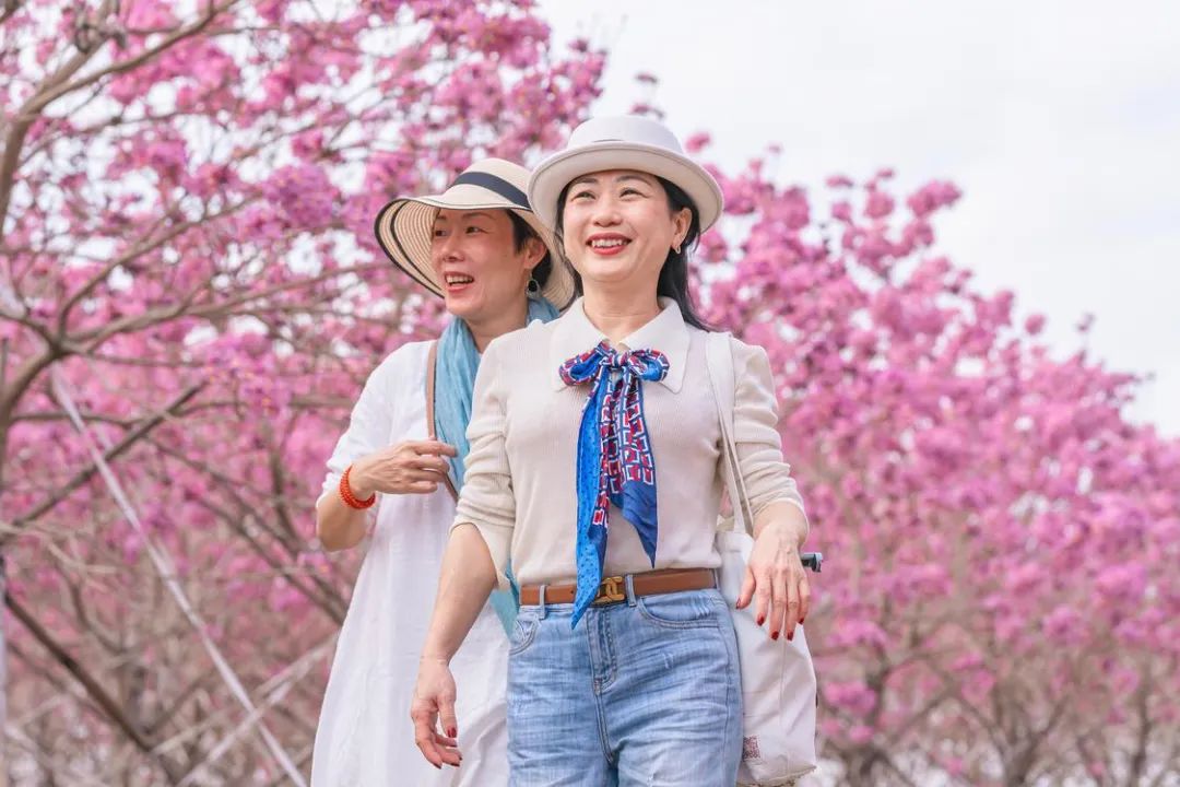 徒步大会、烟花秀、三转文塔…三水区闹元宵活动攻略→