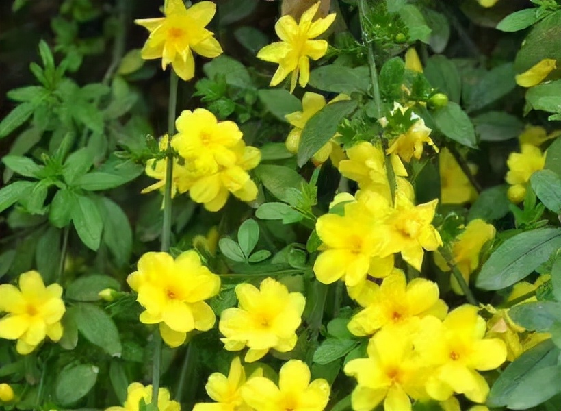 心情不好时别和我说话背景图,心情不好的时候不要和我说话