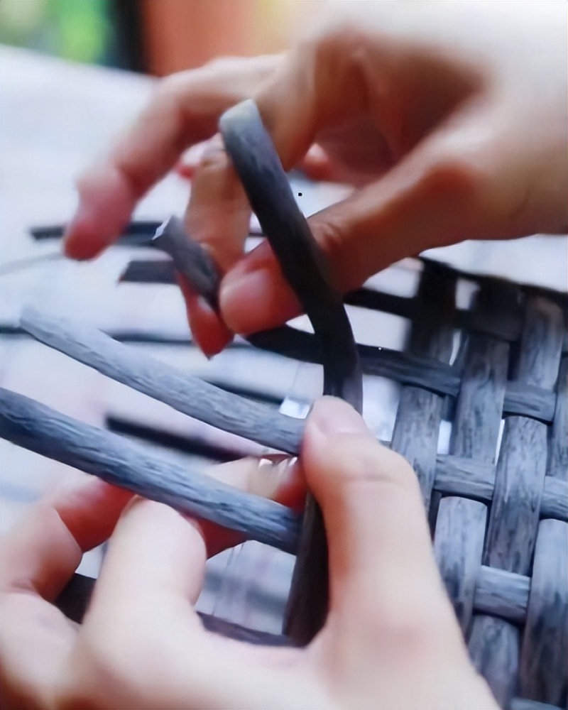 废旧塑料瓶改造花盆小妙招,废旧塑料桶制作花盆教程