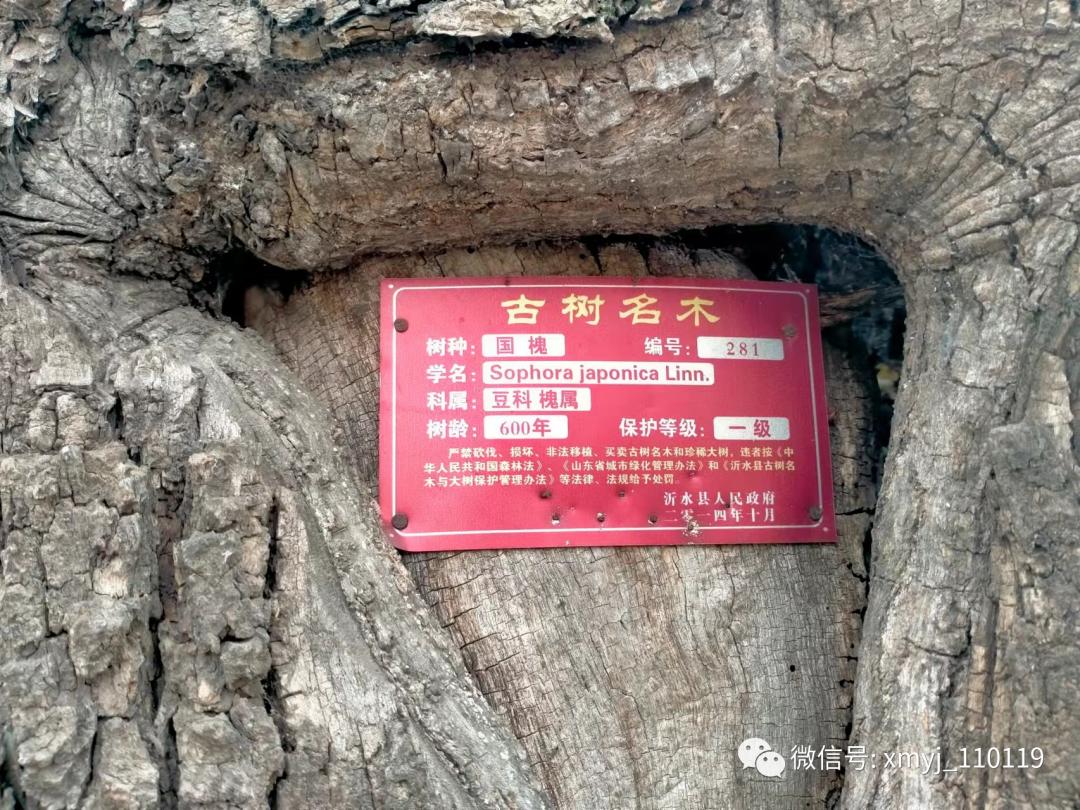 春天的脚步的唯美句子,春天的脚步原唱完整版