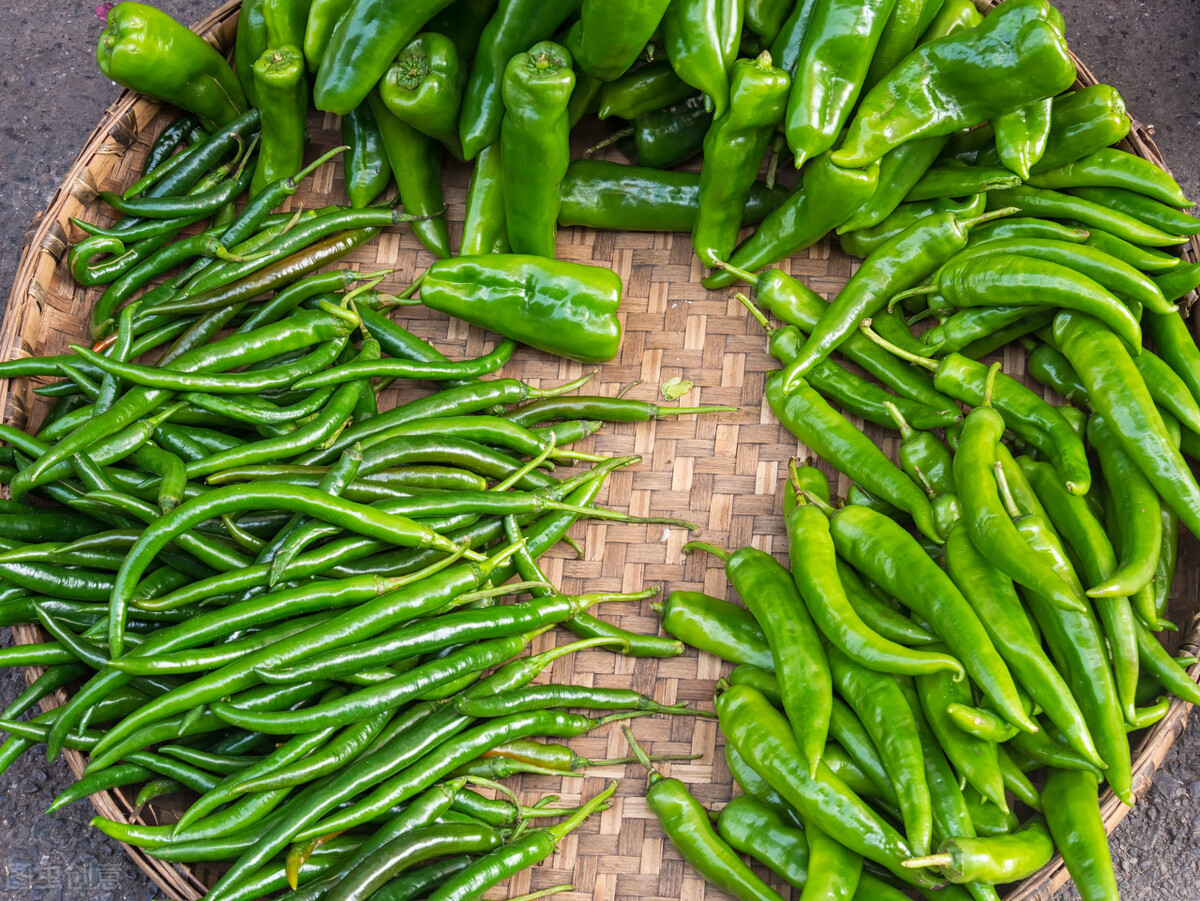 教师节用给幼儿园老师送礼物吗,教师节应该给老师送礼物吗