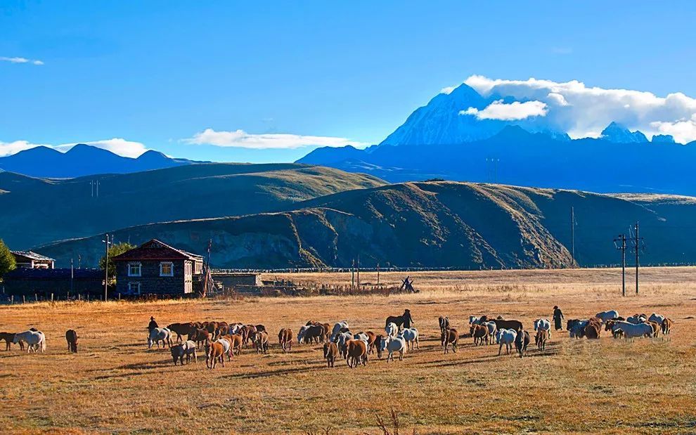 去阿里旅游路线,4月份去阿里自驾游合适吗